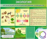 Стенд "Экология. Организация и функционирование сообществ" - «globural.ru» - Ступино