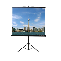 Проекционный экран на штативе Lumien Eco View (LEV-100105) 160x160 см - «globural.ru» - Ступино