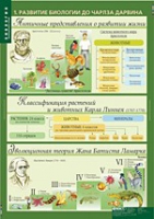 Биология 10-11 класс. Эволюционное учение (комплект таблиц) - «globural.ru» - Ступино