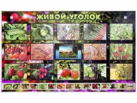 Комплект оборудования "Живой уголок" (растения) с тифлопереводом и сурдокомментариями - «globural.ru» - Ступино