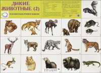 Раздаточные карточки "Дикие животные" часть 2 - «globural.ru» - Ступино