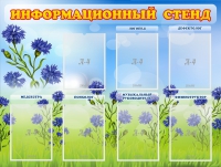 Стенд информационный с 7 карманами - «globural.ru» - Ступино
