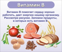Стенд "Витамин В" - «globural.ru» - Ступино