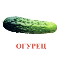 Карточки Домана "Овощи-Зелень-1" - «globural.ru» - Ступино
