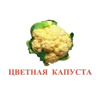 Карточки Домана "Овощи-Зелень-2" - «globural.ru» - Ступино