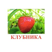Карточки Домана "Ягоды-1" - «globural.ru» - Ступино