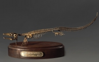 Модель скелета мозазавра Mosasaurus - «globural.ru» - Ступино
