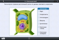 Интерактивные курсы. Биология 9 класс. Расширенный - «globural.ru» - Ступино