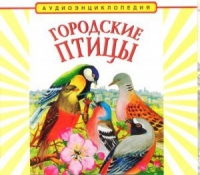 CD "Аудиоэнциклопедия. Городские птицы" - «globural.ru» - Ступино