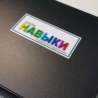 Навыки социальной адаптации. Развивающие пособие на липучках  - «globural.ru» - Ступино