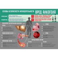 Стенд "Алкоголь" - «globural.ru» - Ступино