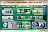 Электрифицированный стенд "Уровни организации жизни" - «globural.ru» - Ступино