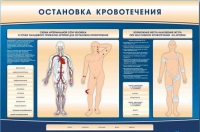 Электрифицированный стенд-тренажер "Остановка кровотечения" - «globural.ru» - Ступино