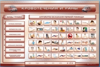 Трехсекционный базовый комплект "Травмы. Кровотечения. Ожоги" для учащихся общеобразовательных учреждений - «globural.ru» - Ступино