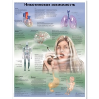 Плакат "Никотиновая зависимость", ламинированный, 50*67 см - «globural.ru» - Ступино