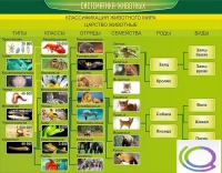 Стенд "Систематика животных" - «globural.ru» - Ступино