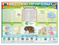 Стенд-уголок "Вестник природы" (вариант 1) - «globural.ru» - Ступино