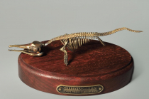 Модель скелета ихтиозавра Ichthyosaurus - «globural.ru» - Ступино