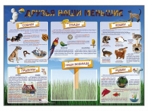 Стенд-уголок "Друзья наши меньшие" - «globural.ru» - Ступино
