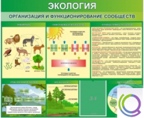 Стенд "Экология. Организация и функционирование сообществ" - «globural.ru» - Ступино