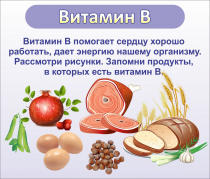 Стенд "Витамин В" - «globural.ru» - Ступино