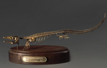 Модель скелета мозазавра Mosasaurus - «globural.ru» - Ступино