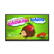 Интерактивная сенсорная панель 50" (UHD 4K) - «globural.ru» - Ступино