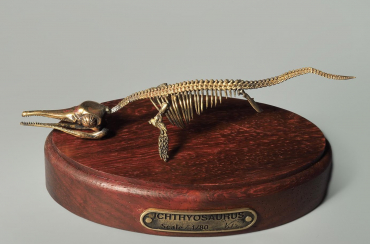 Модель скелета ихтиозавра Ichthyosaurus - «globural.ru» - Ступино