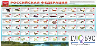 Стенд "Красная книга РФ" - «globural.ru» - Ступино