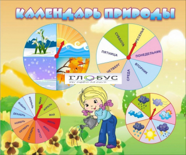 Стенд "Календарь природы" (вариант 1) - «globural.ru» - Ступино