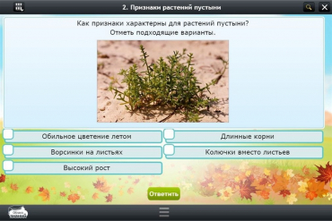 Интерактивные курсы. Окружающий мир 3 класс. Базовый - «globural.ru» - Ступино
