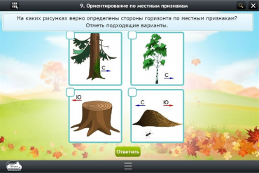 Интерактивные курсы. Окружающий мир 1 класс. Базовый - «globural.ru» - Ступино