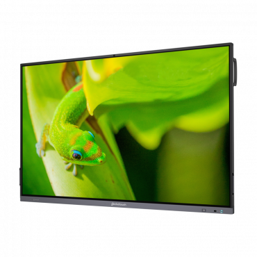 Интерактивный программно-аппаратный комплекс Geckotouch Interactive IP75GT-C в комплекте с настенным креплением - «globural.ru» - Ступино