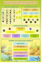 Стенд "Классификация животного мира" - «globural.ru» - Ступино